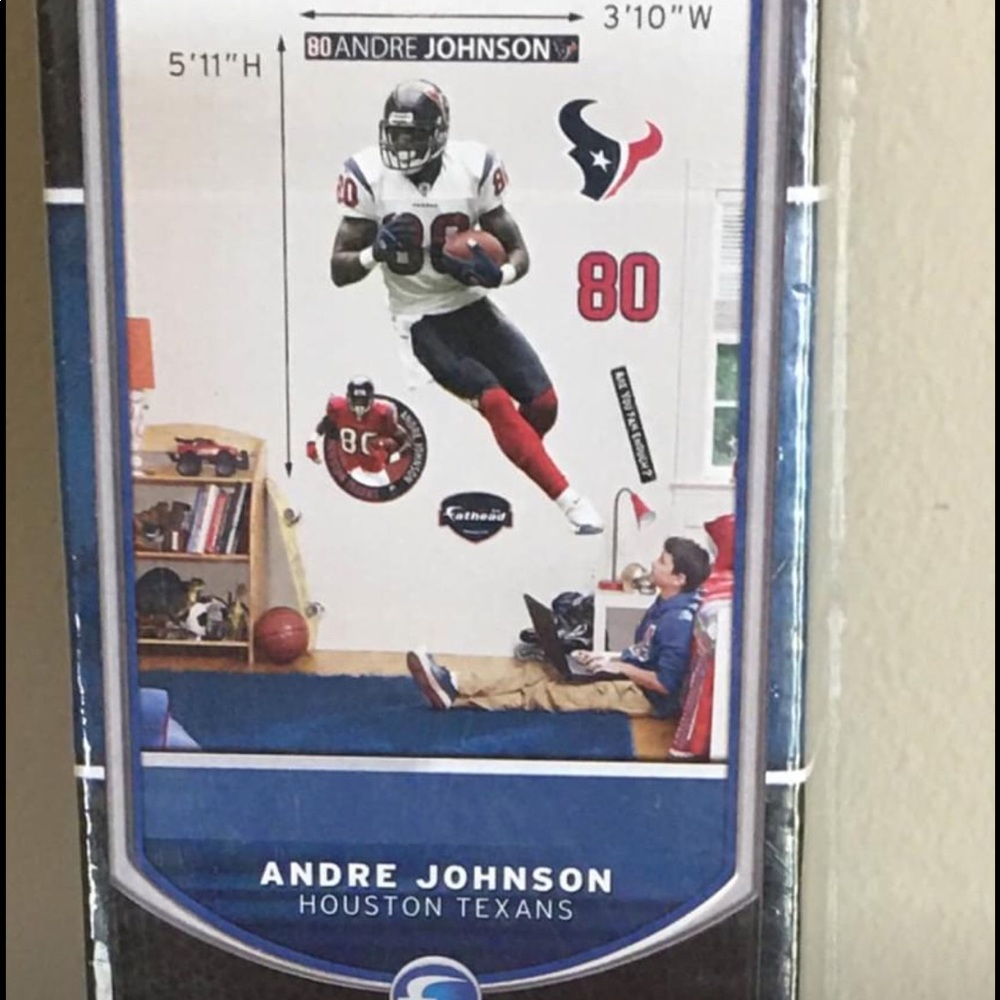 Fathead- Andre Johnson
